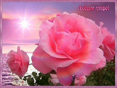 s71.gif (1024×768)