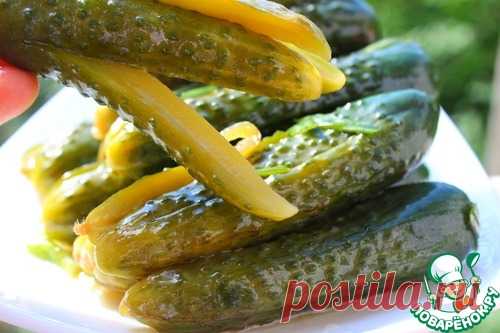 Огурцы закусочные суточные 