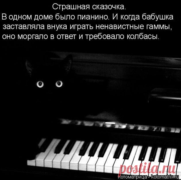 Лучшие котоматрицы недели