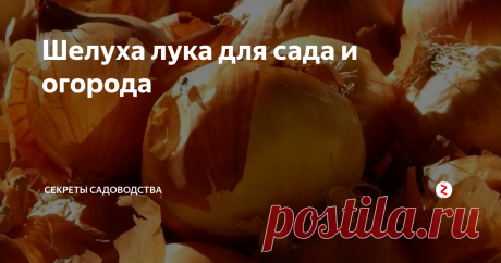 Шелуха лука для сада и огорода Луковая шелуха — незаслуженно забытое "бабушкино" народное средство в уходе за культурными растениями на даче и огороде. 😊 Весьма универсальное средство при:
копеечной стоимости;
доступности;
эффективности;