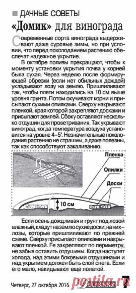 &quot;Домик&quot; для винограда
