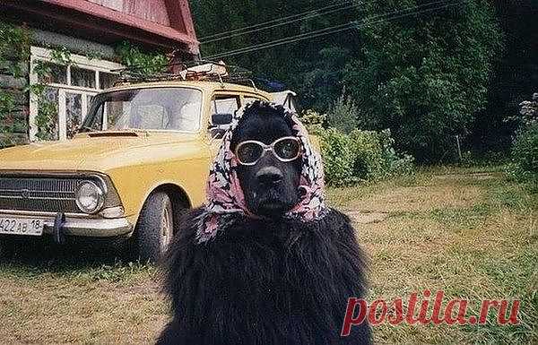 СТОРОЖЕВАЯ!....КТО ТАМА?