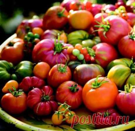 Продукты, которые боятся холодильника