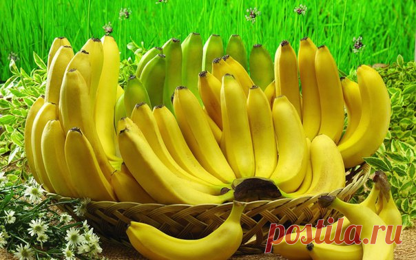 22 причины полюбить бананы — Сияние Жизни