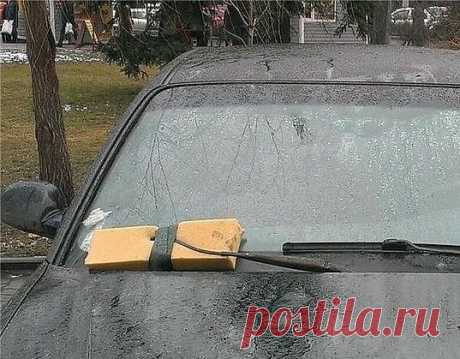 Смелые решения
