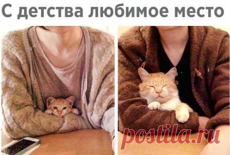 Забавные фото и прикольные картинки с надписью для хорошего настроения
