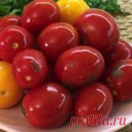 Солёные помидоры в кастрюле без хлопот Кулинарный рецепт