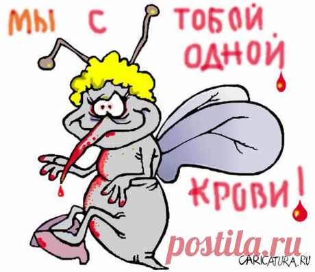 «Кто я: хамка двуличная или право имею?»: невестка VS свекровь