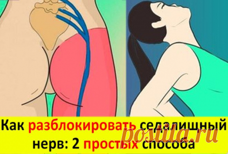 Разблокируй седалищный нерв: делай два простых упражнения Седалищный нерв является самым крупным из всех нервов нашего тела. Начинаясь в области пояснично-крестцового сплетения, его волокна проходят через всю ногу, обеспечивая ее иннервацию.


В связи с этим…