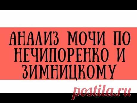 Анализ мочи по Нечипоренко и Зимницкому в норме и при патологии - meduniver.com