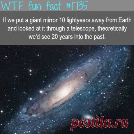 WTF fun facts