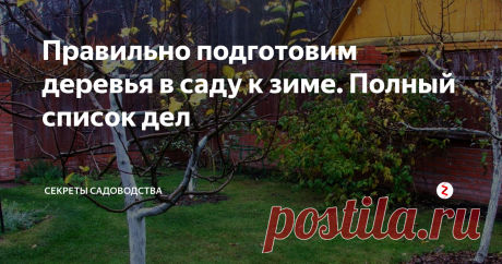 Правильно подготовим деревья в саду к зиме. Полный список дел Каждый садовод должен знать, что после сезона сбора урожая необходимо подготовить участок к холодному, зимнему сезону.
Осенний сад на даче. Фото (dachaa.ru)
Да, саду тоже нужно переживать зиму в тепле и заботе. Это необходимо для того чтобы защитить участок и