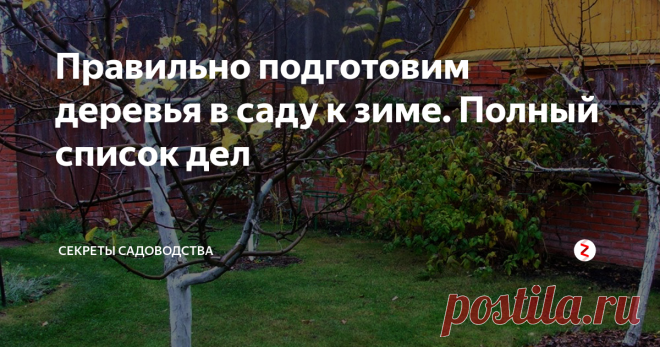 Правильно подготовим деревья в саду к зиме. Полный список дел Каждый садовод должен знать, что после сезона сбора урожая необходимо подготовить участок к холодному, зимнему сезону.
Осенний сад на даче. Фото (dachaa.ru)
Да, саду тоже нужно переживать зиму в тепле и заботе. Это необходимо для того чтобы защитить участок и