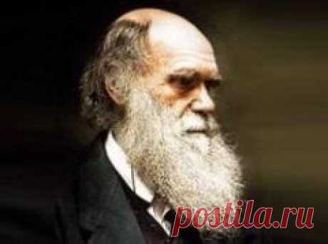 12 февраля в 1809 году родился Чарльз Дарвин-БИОЛОГ