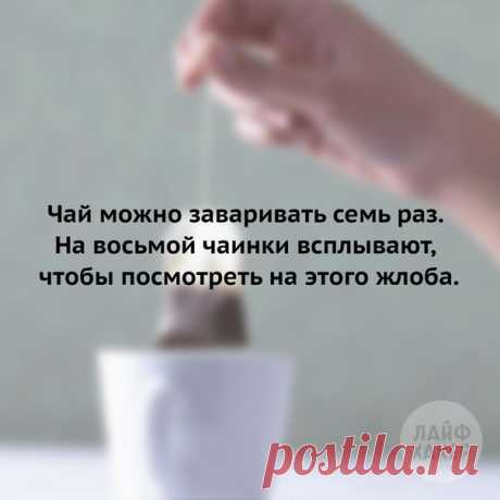 Как заваривать разные сорта чая: