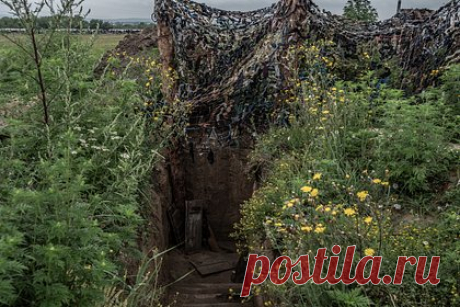 Доброволец из Иордании в одиночку атаковал ВСУ из-за незнания русского языка. Доброволец из Иордании Мотаз, воюющий в рядах Вооруженных сил России в зоне специальной военной операции, в одиночку атаковал украинские позиции из-за незнания русского языка. Командир приказал возвращаться на позиции, но военнослужащий не понял команду, взял оружие и пошел вперед. Он чудом уцелел.