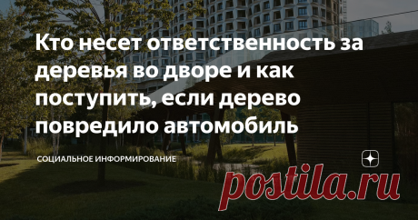 Кто несет ответственность за деревья во дворе и как поступить, если дерево повредило автомобиль Статья автора «Социальное информирование» в Дзене ✍: Жилые многоквартирные дома обычно окружены зелеными насаждениями, которые создают приятную атмосферу и благоприятное окружение для жильцов.