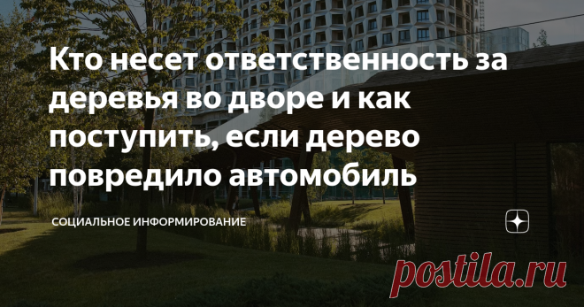 Кто несет ответственность за деревья во дворе и как поступить, если дерево повредило автомобиль Статья автора «Социальное информирование» в Дзене ✍: Жилые многоквартирные дома обычно окружены зелеными насаждениями, которые создают приятную атмосферу и благоприятное окружение для жильцов.