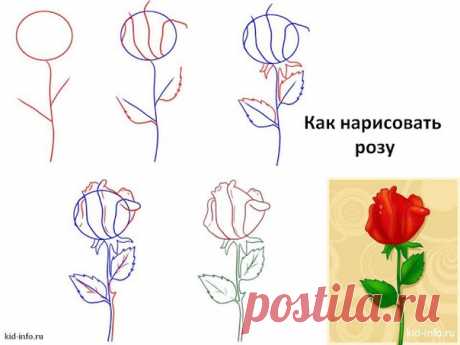 Рисуем розу. Мини Мк.