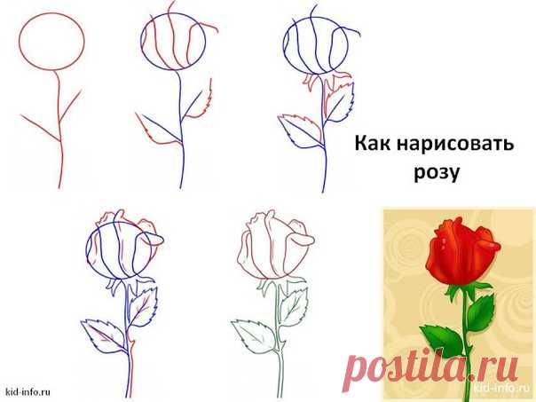 Рисуем розу. Мини Мк.
