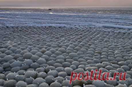 На Финском заливе появилось чудо природы – ледяные шары | События | Город | АиФ Санкт-Петербург