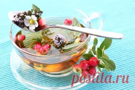Самые вкусные травы для чая Чайные травы — это те травы, которые приятны на вкус при заварке. У растения могут быть использованы листья, веточки, бутоны, цветки, а у некоторых видов — корни.
|