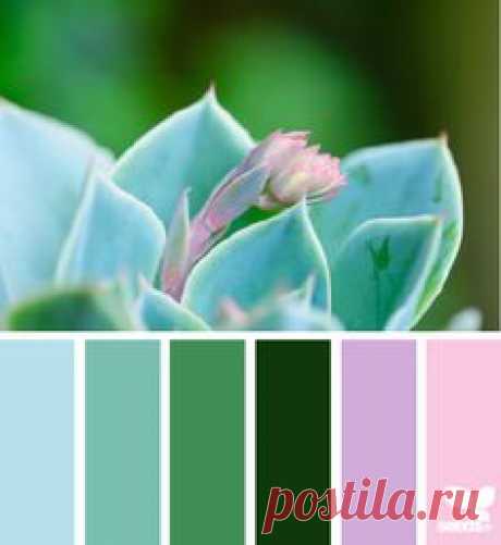 Декор для дома