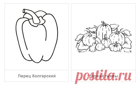 Раскраски Овощи - скачать или распечатать