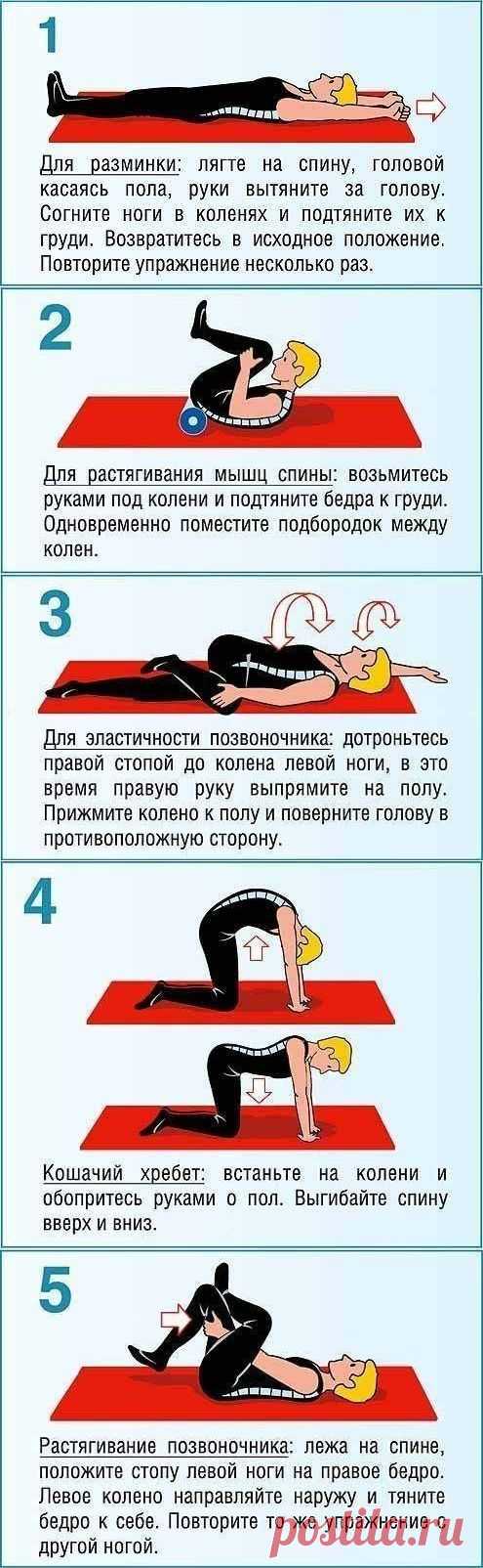 Как убрать боль в спине. Упражнения для позвоночника и живота - Рецепты, диеты, мода и красота, светская жизнь