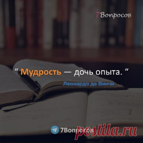 7Вопросов “ Мудрость — дочь опыта. “ © Леонардо да Винчи