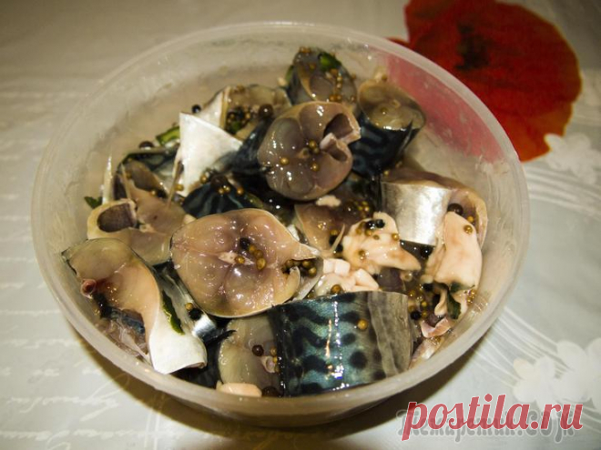 Рыбные дни