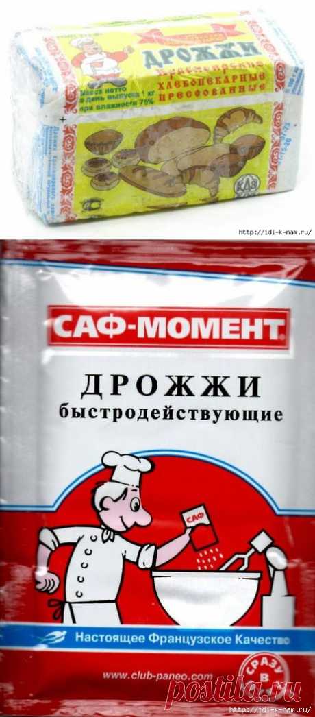 как сделать ростостимулирующий раствор для растений