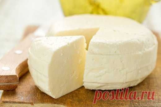 Уникальный рецепт быстрого приготовления сыра без вызревания