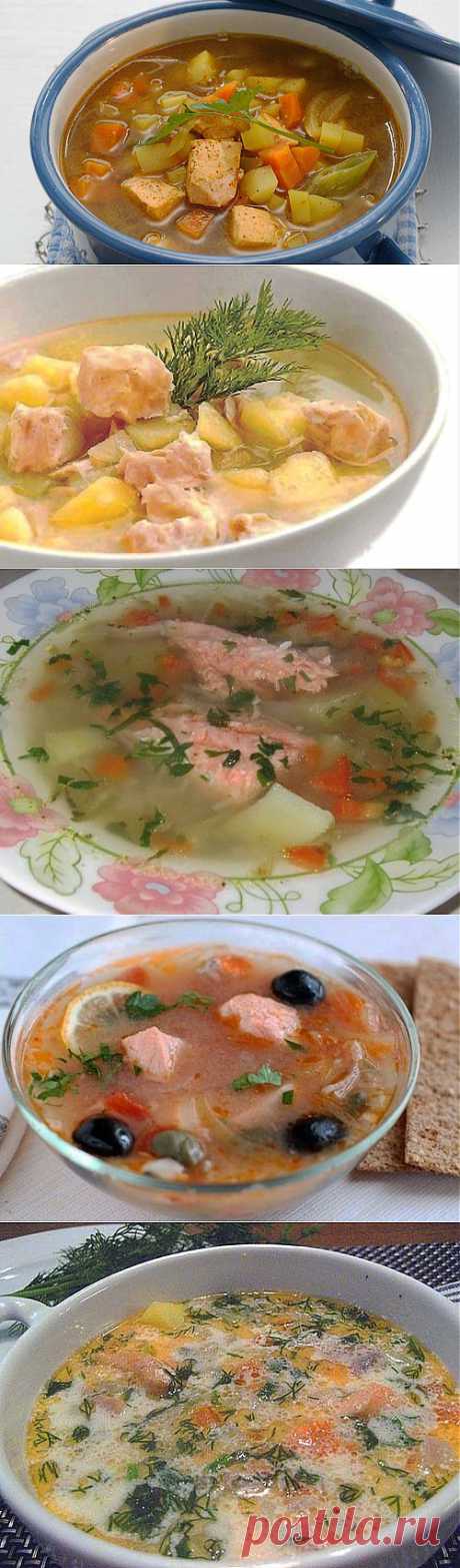 Лучшие супы из семги: рецепты и советы по приготовлению