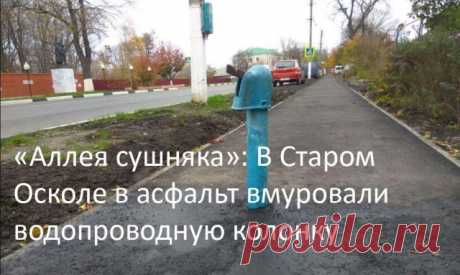 Такими новостными заголовками не заинтересуется разве что слепой . Тут забавно !!!