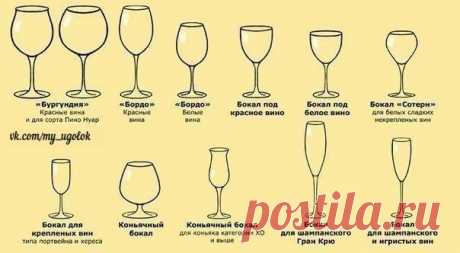 Названия бокалов для вина и их назначение