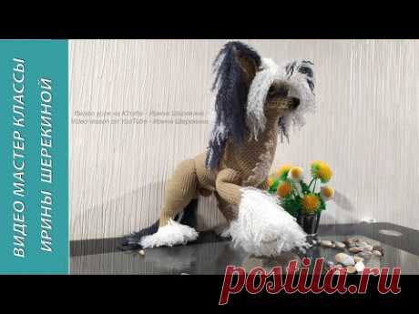 Китайская хохлатка голыш, ч.5. Chinese Corydalis naked, р.5. Вязать собаку. Crochet dog.