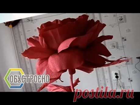 СУПЕР большие цветы из бумаги. Розы (часть I)