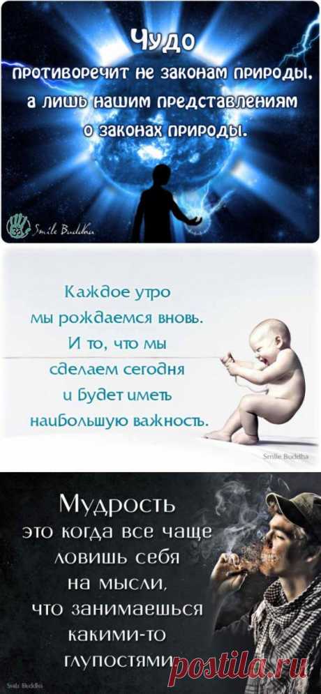 Каждое утро мы рождаемся вновь. И то, что мы сделаем сегодня и будет иметь наибольшую важность.
Мудрость в словах и картинках.