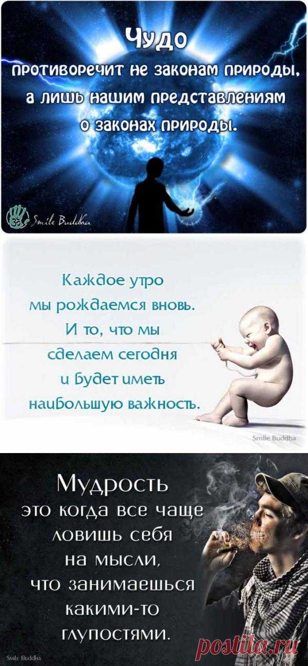 Каждое утро мы рождаемся вновь. И то, что мы сделаем сегодня и будет иметь наибольшую важность.
Мудрость в словах и картинках.