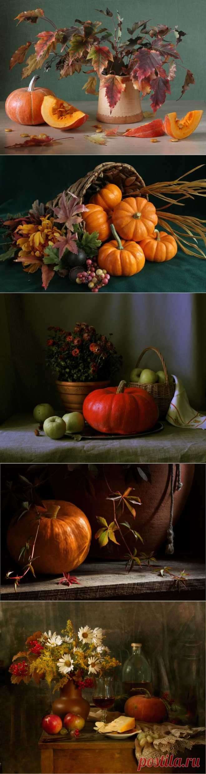 Натюрморт с тыквой - Still life with pumpkin