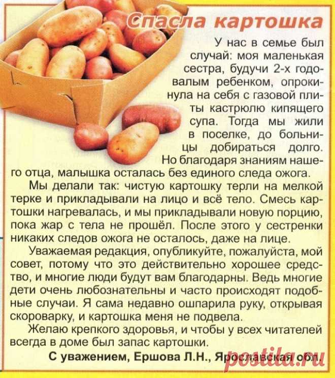 Семечки... от гипертонии     

Моему мужу этот рецепт спас жизнь. Уже через пару дней он ощутил результат, а через 2 недели и вовсе забыл о болезни. Рецепт простой и дешевый
Народных рецептов от гипертонии не счесть. Но у меня есть свой фирменный, проверенный годами на себе и родных.

Всыпаю в эмалированную кастрюлю пол-литровую банку промытых неочищенных подсолнечных семечек, заливаю 2 литрами холодной воды, кипячу 2 часа. После остывания процеживаю. Выпиваю отвар в течен...