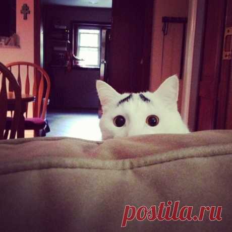 пьеро