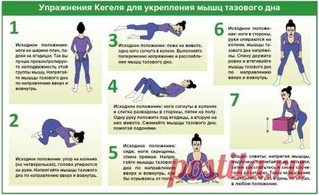 упражнения кегеля для женщин в домашних условиях: 5 тыс изображений найдено в Яндекс.Картинках