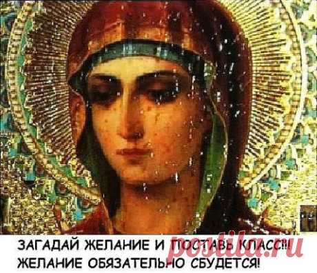 (49) Одноклассники