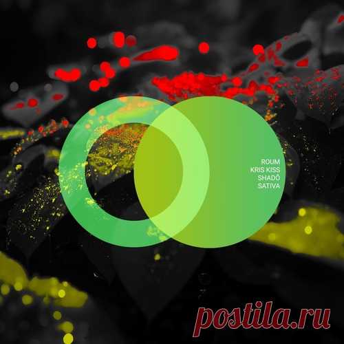 Shado, Kris Kiss & Roum – Sativa [AVE271] Sharing-DB.club