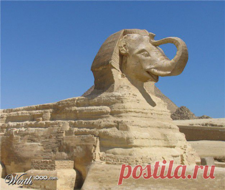 505516_c2f4_625x1000.jpg (625×529)
