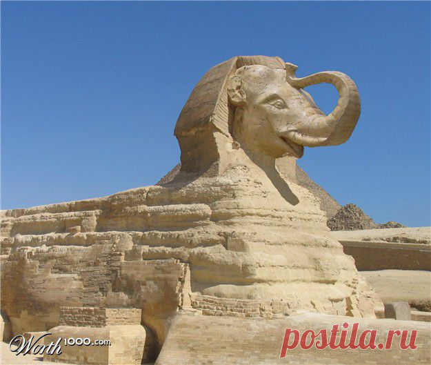 505516_c2f4_625x1000.jpg (625×529)