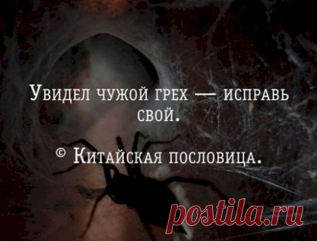 Случайно в руки попал телефон супруги. Полюбопытствовал в телефонной книге. Смотрю: "Любимый". Позвонил. Отвечает сонный голос. Спрашиваю: — Вы кто? — Аристарх Израилевич Любимый, дамский парикмахер. Задолбали уже! - Выпуск №2971