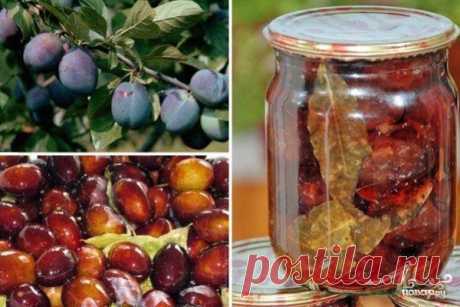 Маринованные сливы на зиму - пошаговый кулинарный рецепт на Повар.ру